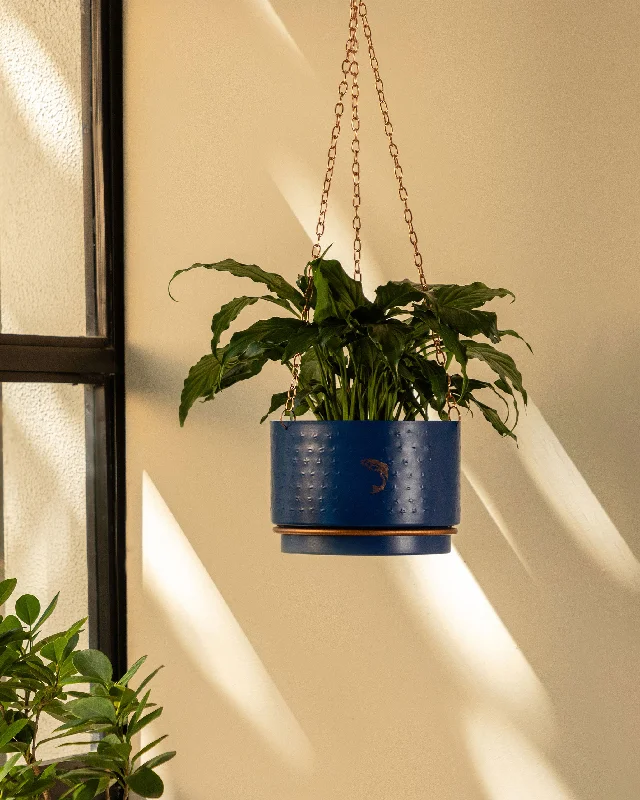 Hanging Midnight Planter Modern Men's Geometric